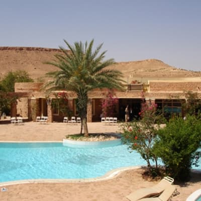 Backyard pool with palm trees and patio seating
