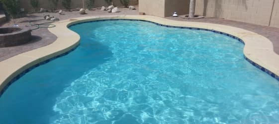 Sparkling clean residential pool in an Arizona backyard